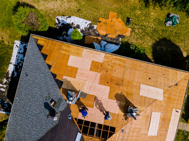Best Storm Damage Roof Repair  in Brooklyn Park, MN