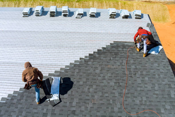 Best Local Roofing Companies  in Brooklyn Park, MN
