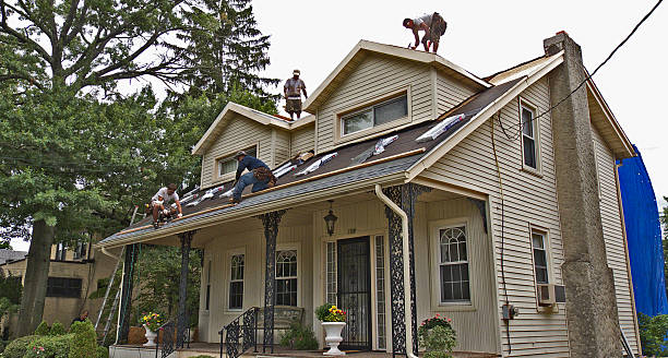 Best Tile Roofing Contractor  in Brooklyn Park, MN